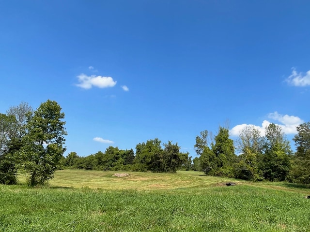 Kent Rd, Wassaic, NY 12592 - photo 5