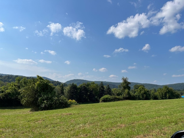 Kent Rd, Wassaic, NY 12592 - photo 6