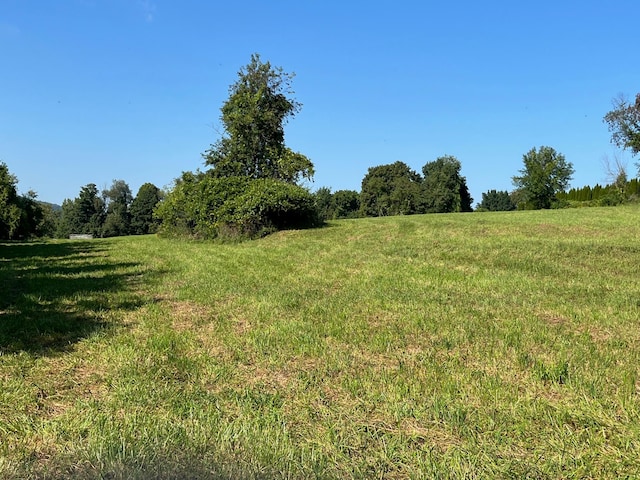 Kent Rd, Wassaic, NY 12592 - photo 8