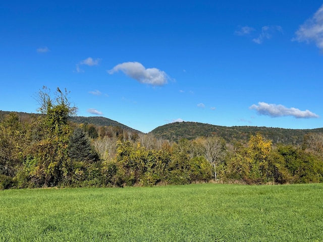 Kent Rd, Wassaic, NY 12592 - photo 9