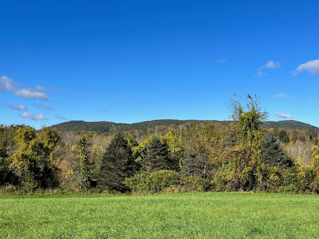 Kent Rd, Wassaic, NY 12592 - photo 10