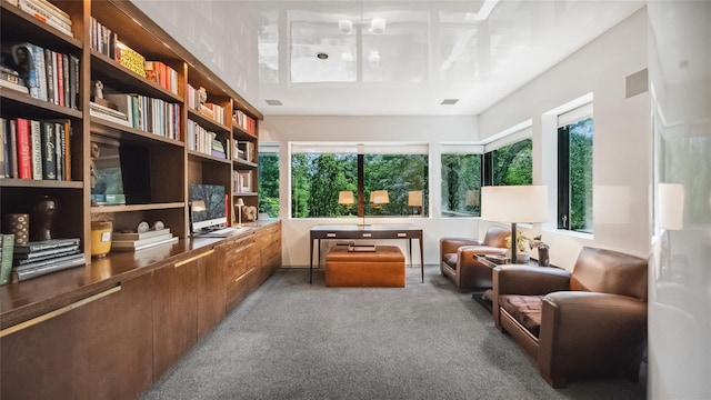 sitting room featuring healthy amount of natural light and carpet