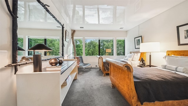 bedroom featuring carpet floors and multiple windows