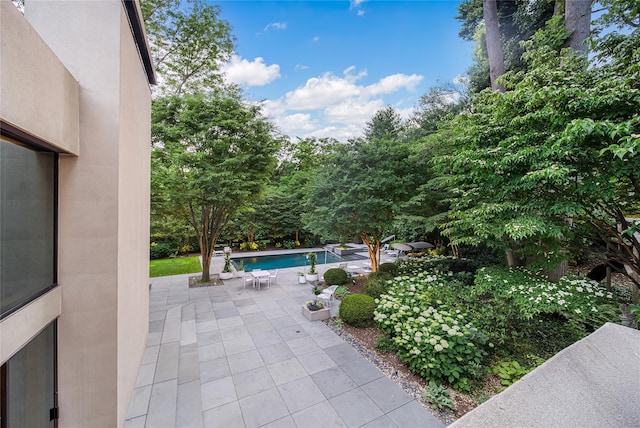 view of patio / terrace with an outdoor pool