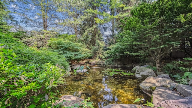 view of local wilderness