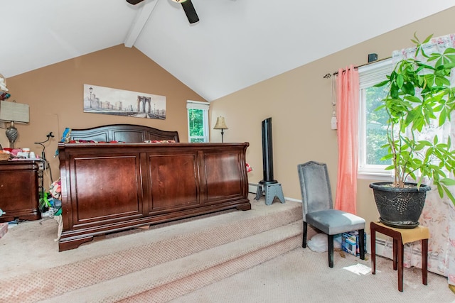 434 Philo St, New Windsor, NY 12553 - photo 35
