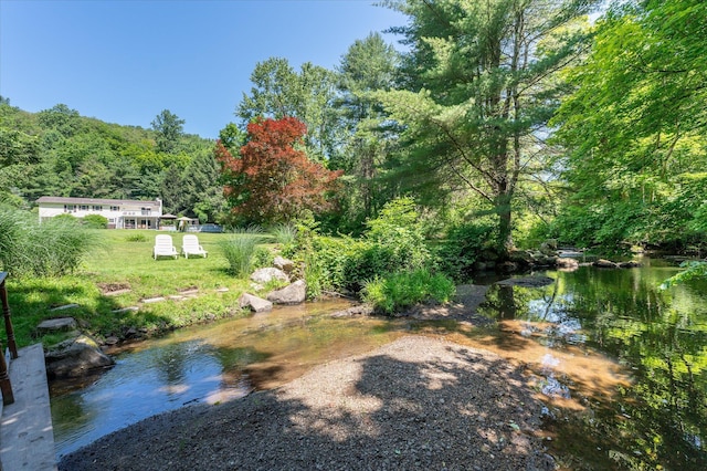 542 Peekskill Hollow Rd, Putnam Valley, NY 10579 - view of yard with a wooded view