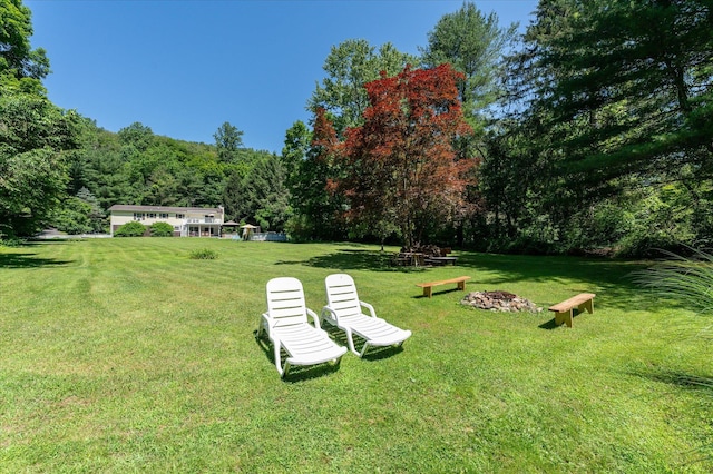 542 Peekskill Hollow Rd, Putnam Valley, NY 10579 - view of home's community with a forest view and a yard