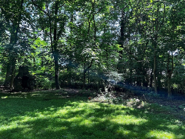 2 Briar Ln, Crompond, NY 10517 - view of grassy yard with a view of trees
