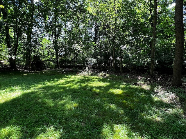2 Briar Ln, Crompond, NY 10517 - view of green lawn