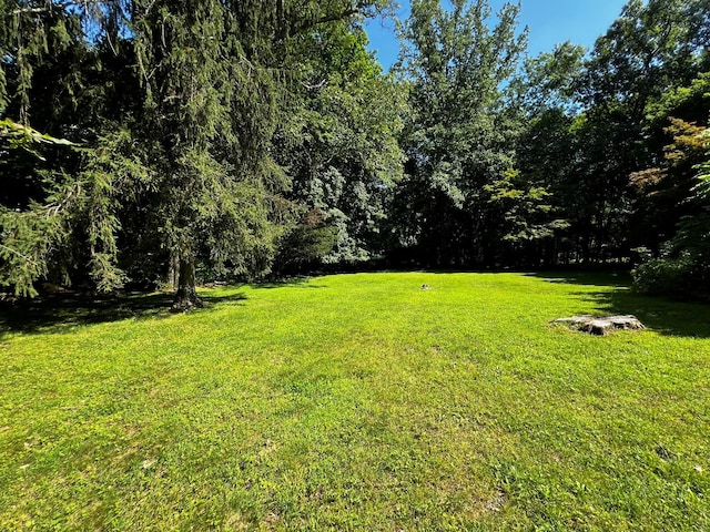 2 Briar Ln, Crompond, NY 10517 - view of grassy yard