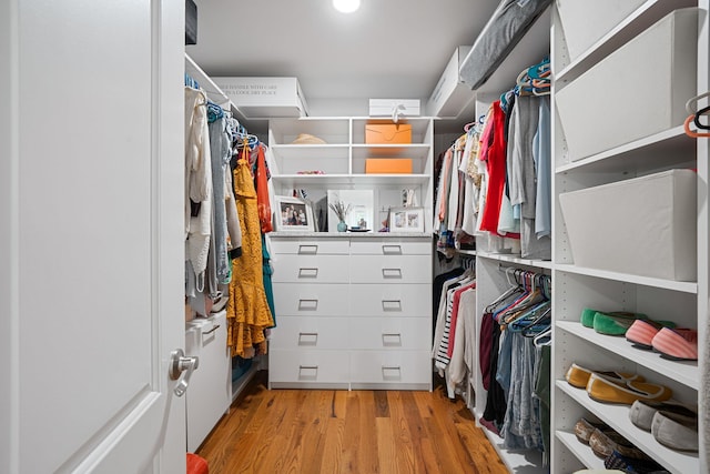 206 Brooksite Dr, Smithtown, NY 11787 - walk in closet featuring light wood-style floors