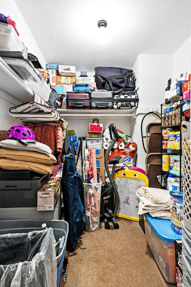 4265 Webster Ave Unit 6A, Bronx, NY 10470 - view of storage