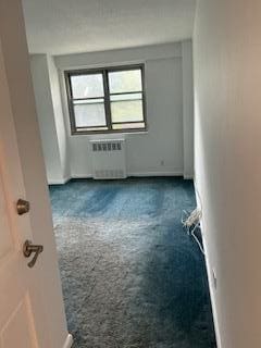 3410 De Reimer Ave Unit 2B, Bronx, NY 10475 - spare room with radiator and dark colored carpet