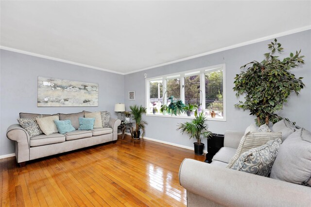 26 Shenandoah Blvd, Port Jefferson Station, NY 11776 - living area with ornamental molding and wood-type flooring