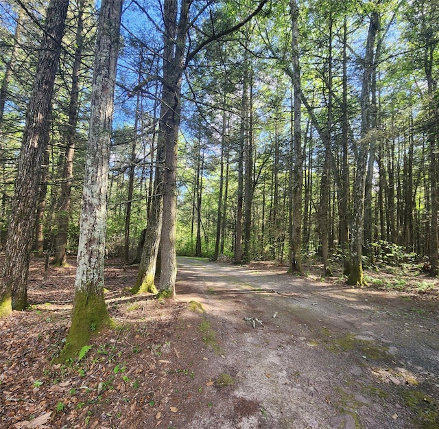 7219 State Rte 42, Grahamsville, NY 12740 - view of street with a wooded view