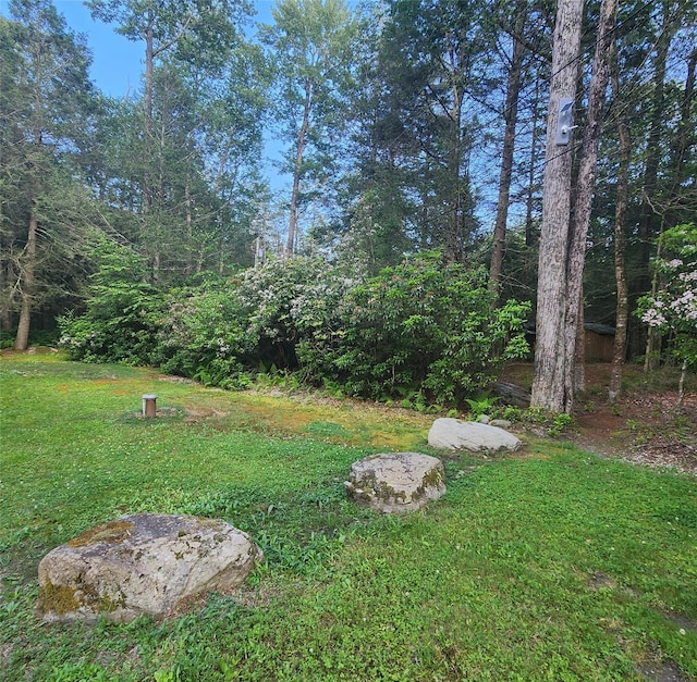 7219 State Rte 42, Grahamsville, NY 12740 - view of grassy yard