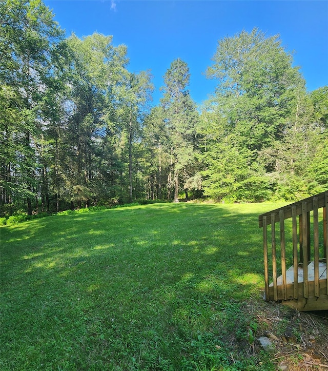 7219 State Rte 42, Grahamsville, NY 12740 - view of green lawn