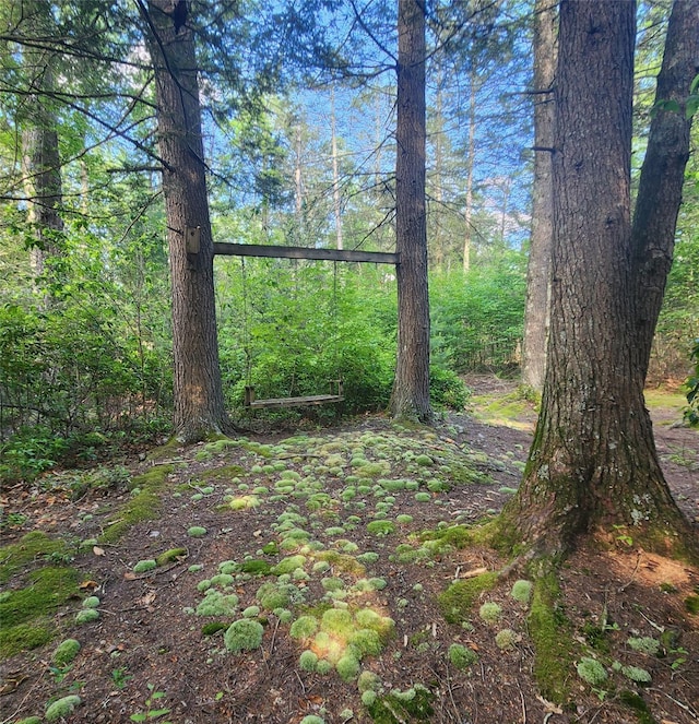7219 State Rte 42, Grahamsville, NY 12740 - view of wooded area