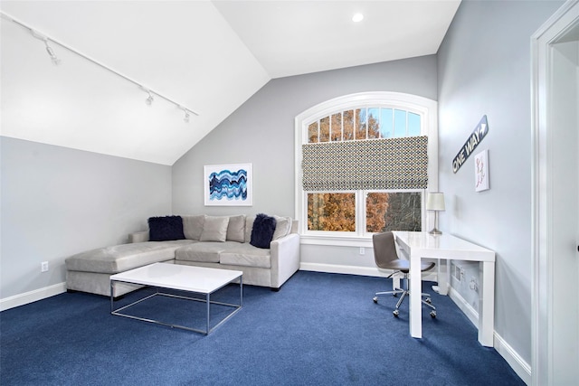5 Sutton Farm Dr, Chappaqua, NY 10514 - carpeted office space with lofted ceiling and track lighting