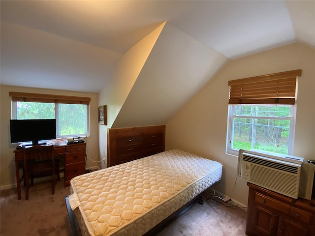 13 Fisher Rd, Cochecton, NY 12726 - photo 27