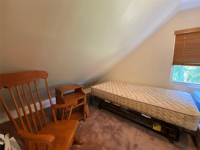 13 Fisher Rd, Cochecton, NY 12726 - photo 29