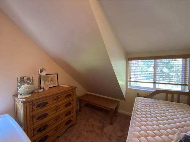 13 Fisher Rd, Cochecton, NY 12726 - photo 30