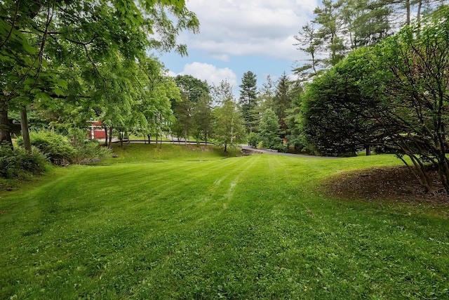 816 Hardscrabble Rd, Chappaqua, NY 10514 - photo 27