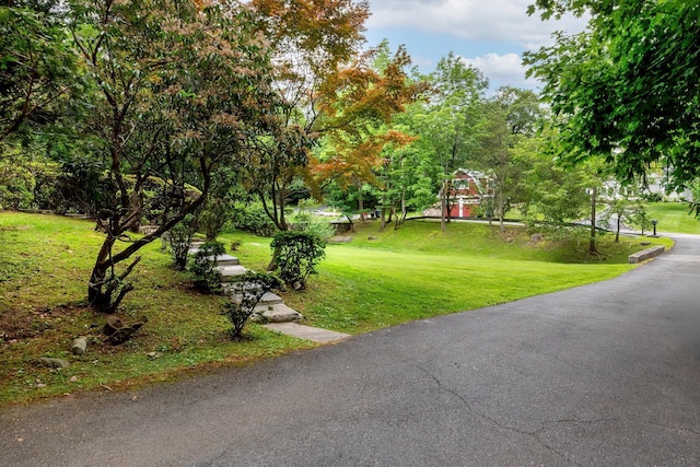 816 Hardscrabble Rd, Chappaqua, NY 10514 - photo 29