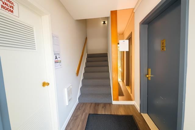 2730 Schurz Ave Unit N3 & N4, Bronx, NY 10465 - photo 6