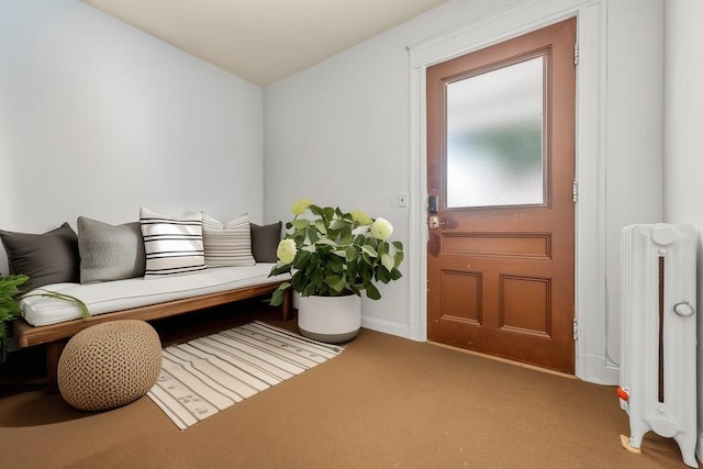 1314 College Point Blvd, College Point, NY 11356 - mudroom featuring radiator heating unit, carpet flooring, and vaulted ceiling