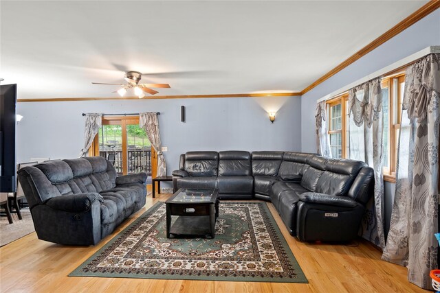 478 High Rock Rd, West Coxsackie, NY 12124 - photo 19