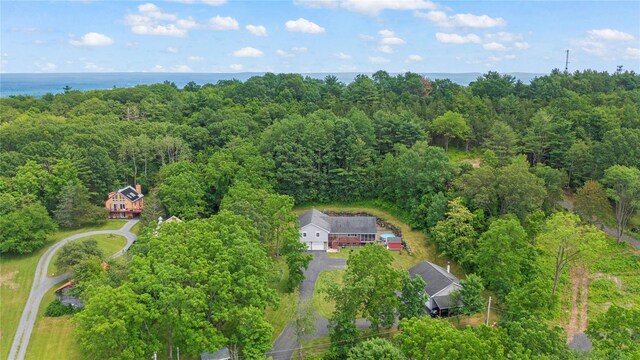 478 High Rock Rd, West Coxsackie, NY 12124 - photo 36