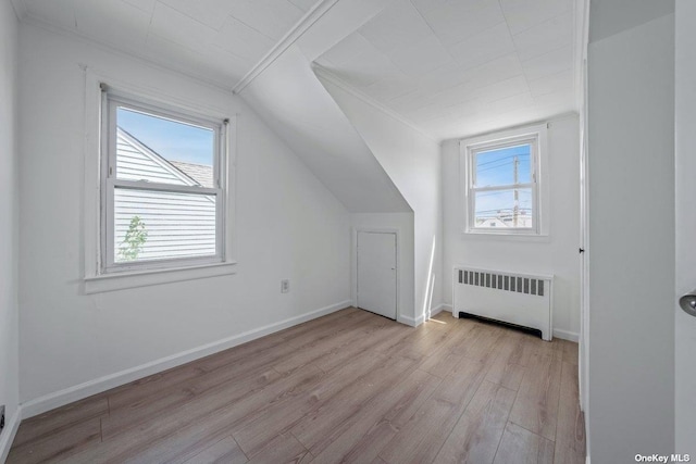 216 Raff Ave, Mineola, NY 11501 - additional living space with radiator, wood finished floors, and lofted ceiling