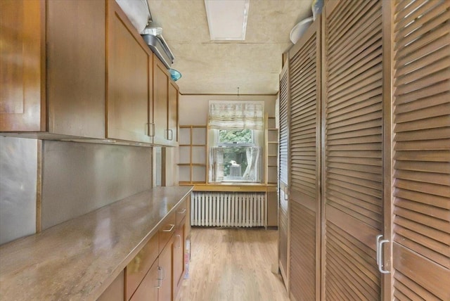 7 Wellesley Ave, Yonkers, NY 10705 - hall with radiator and light wood-style flooring