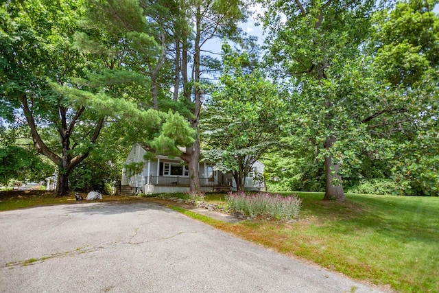 120 Westchester Ave, Buchanan, NY 10511 - photo 33
