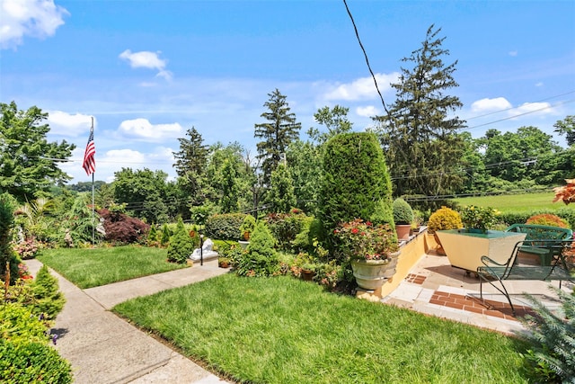 194 Valentine St, Yonkers, NY 10704 - view of green lawn with a patio