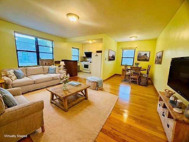 196-58 69th Ave Unit 1, Fresh Meadows, NY 11365 - living room with healthy amount of natural light and light wood finished floors