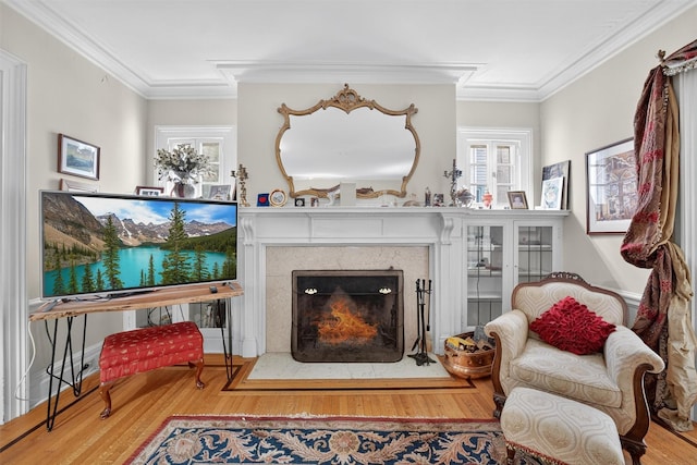 13 Garfield Pl, Poughkeepsie, NY 12601 - living room featuring wood finished floors, ornamental molding, and a high end fireplace