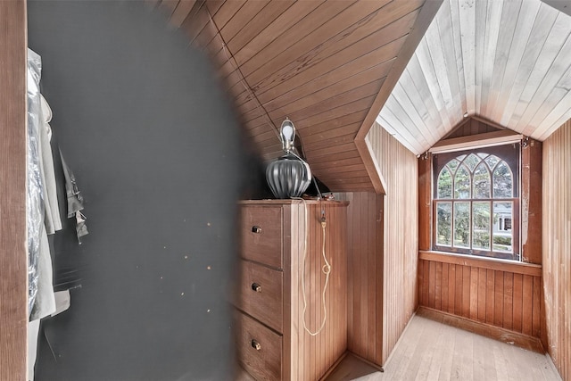 13 Garfield Pl, Poughkeepsie, NY 12601 - spacious closet with vaulted ceiling and light wood-style floors