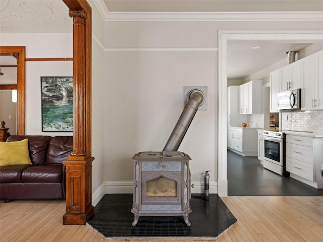 135 Washington Ave, Saugerties, NY 12477 - living room with a wood stove and dark wood-style flooring