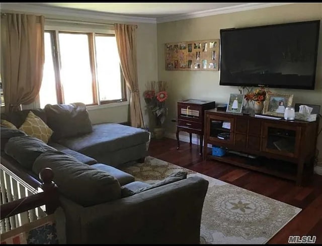 19 Biscayne Dr, Selden, NY 11784 - photo 5