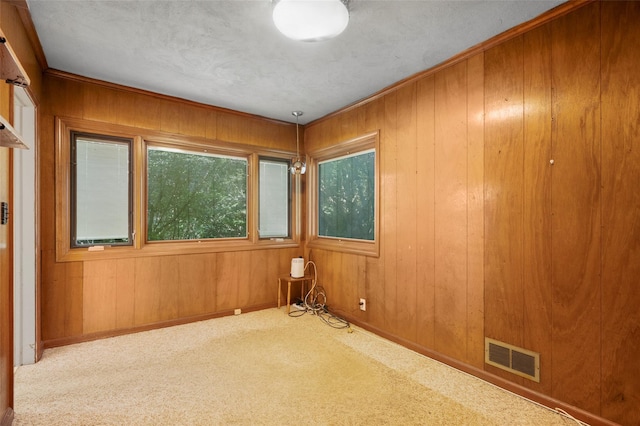 153 Waverly Rd, Scarsdale, NY 10583 - carpeted empty room with wooden walls