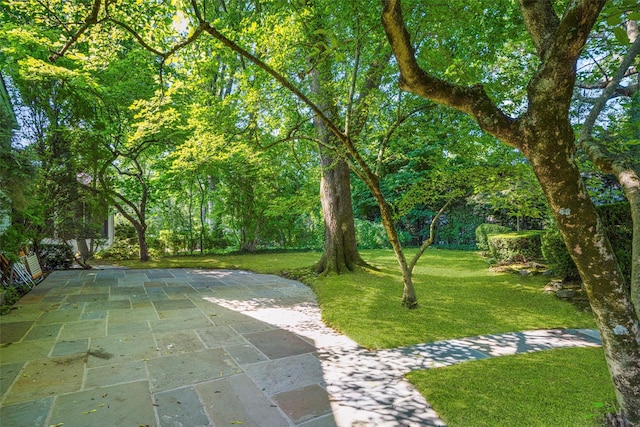 153 Waverly Rd, Scarsdale, NY 10583 - view of community featuring a yard and a patio