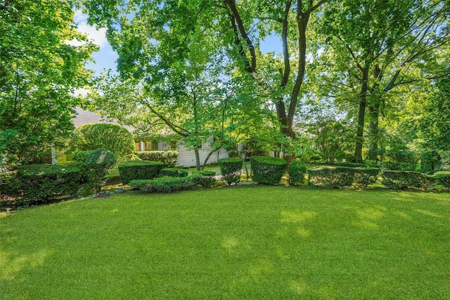 153 Waverly Rd, Scarsdale, NY 10583 - view of green lawn