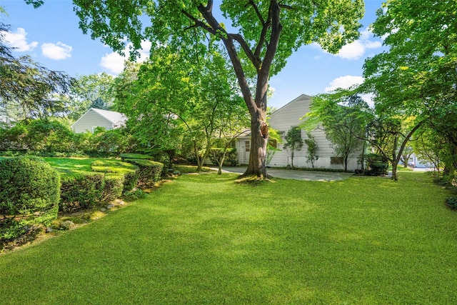 153 Waverly Rd, Scarsdale, NY 10583 - view of grassy yard with a patio