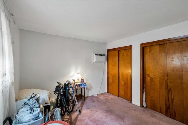 1541 Herzel Blvd, West Babylon, NY 11704 - bedroom with two closets, carpet flooring, and a wall unit AC