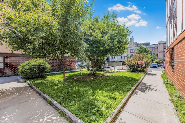 920 Union Ave Unit A, Bronx, NY 10459 - photo 19