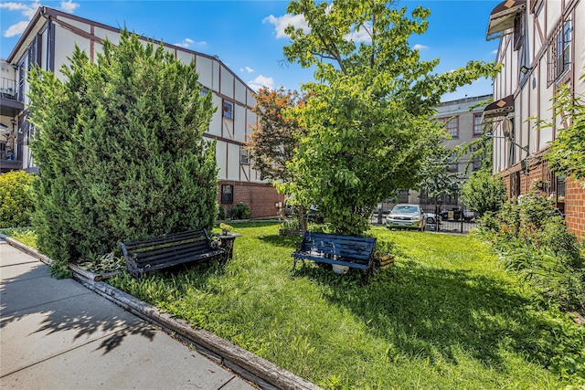 920 Union Ave Unit A, Bronx, NY 10459 - photo 20
