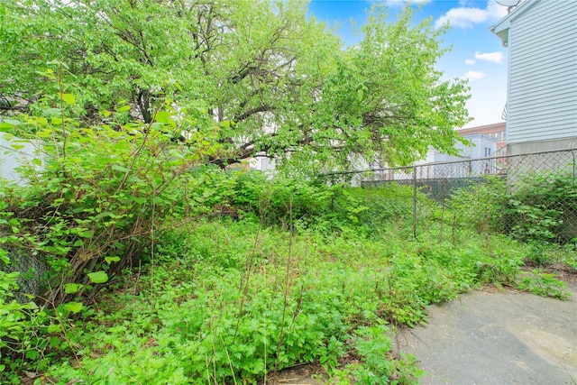 231 Macdougal St, Brooklyn, NY 11233 - view of yard